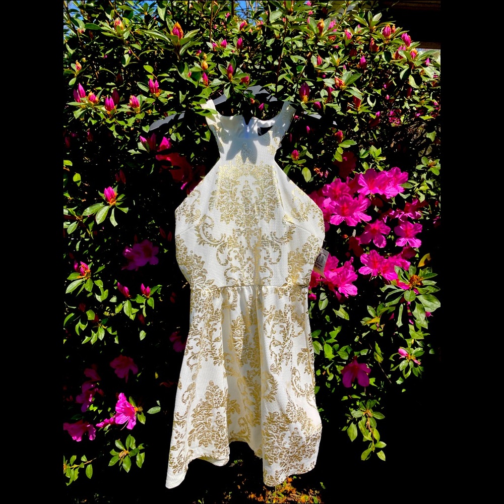 B. Darlin Gold and White (JUNIORS) racer back cut mini dress